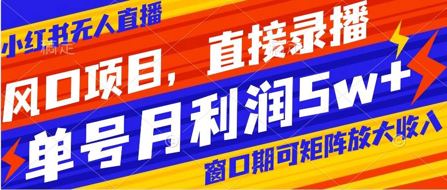 风口项目，小红书无人直播带货，直接录播，可矩阵，月入5w-杨振轩笔记