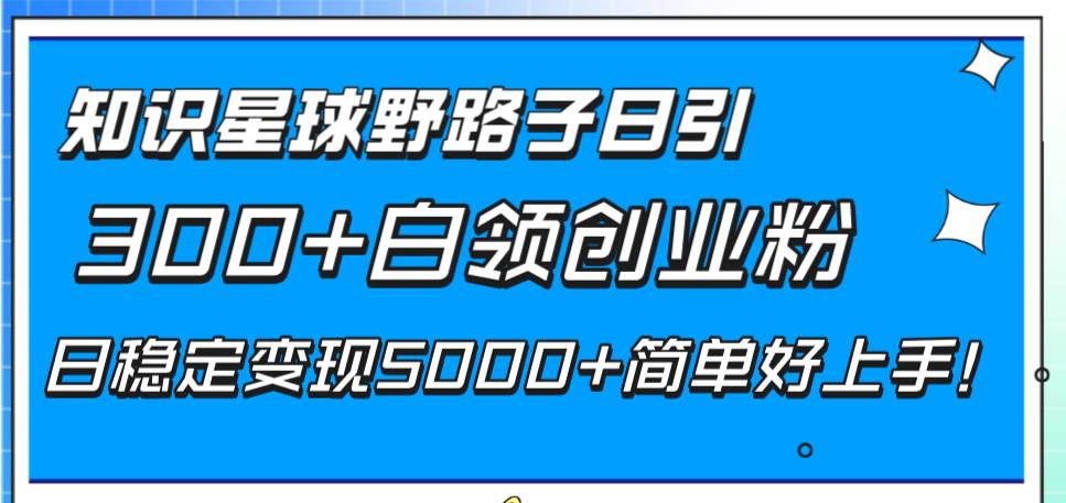 知识星球野路子日引300 白领创业粉，日稳定变现5000 简单好上手！-杨振轩笔记