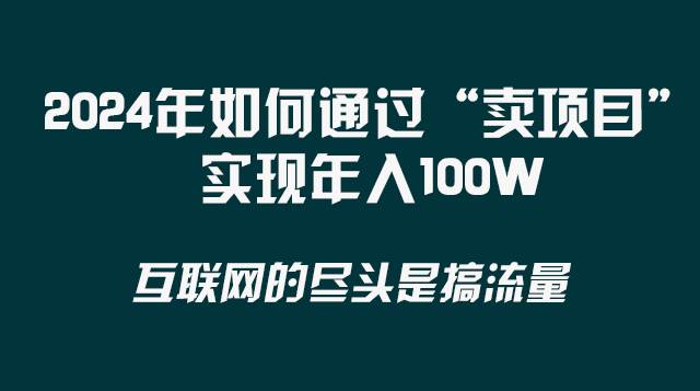 2024年如何通过“卖项目”实现年入100W-杨振轩笔记
