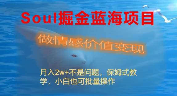 Soul掘金蓝海项目细分赛道，做情感价值变现，月入2w 不是问题-杨振轩笔记