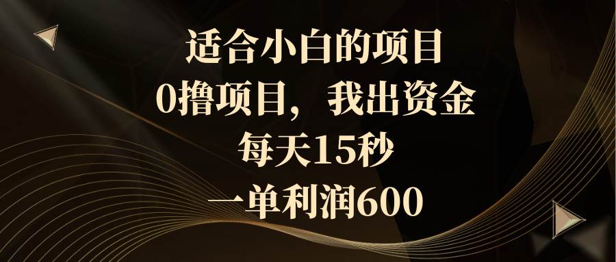 适合小白的项目，0撸项目，我出资金，每天15秒，一单利润600-杨振轩笔记