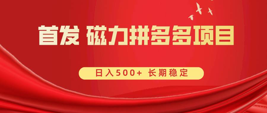 首发 磁力拼多多自撸  日入500-杨振轩笔记