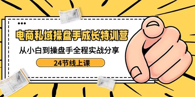 电商私域-操盘手成长特训营：从小白到操盘手全程实战分享-24节线上课-杨振轩笔记
