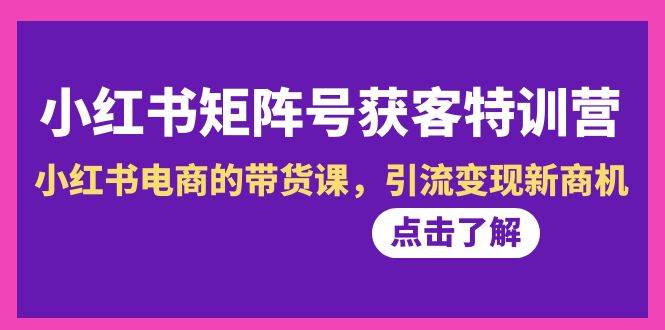 小红书-矩阵号获客特训营-第10期，小红书电商的带货课，引流变现新商机-杨振轩笔记