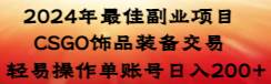 2024年最佳副业项目 CSGO饰品装备交易 轻易操作单账号日入200+-杨振轩笔记