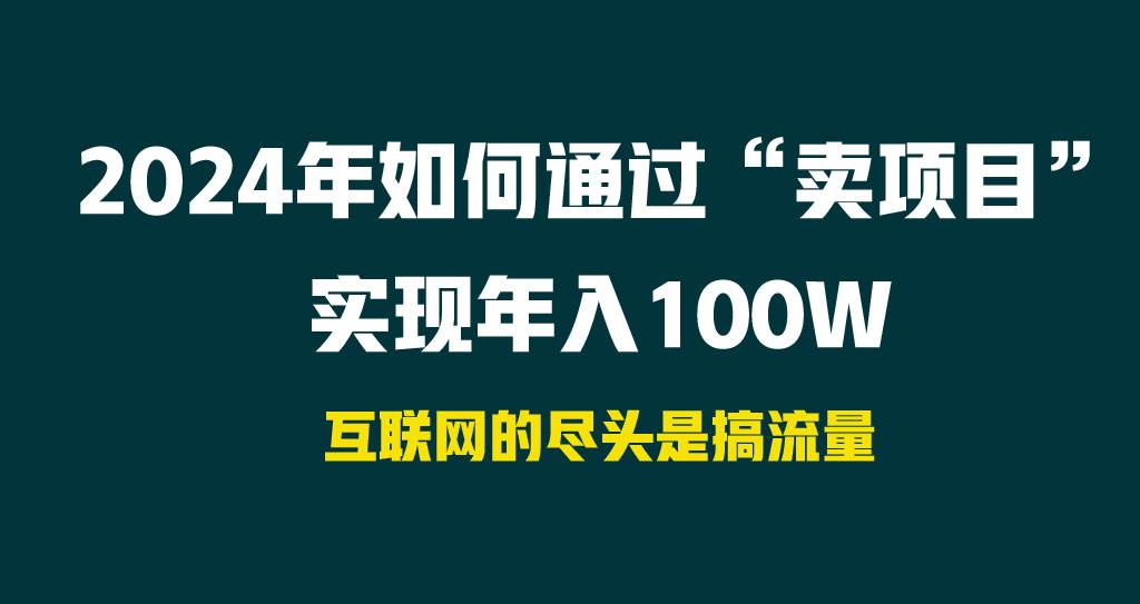 2024年如何通过“卖项目”实现年入100W-杨振轩笔记