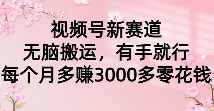 视频号新赛道，无脑搬运，有手就行，每个月多赚3000多零花钱-杨振轩笔记