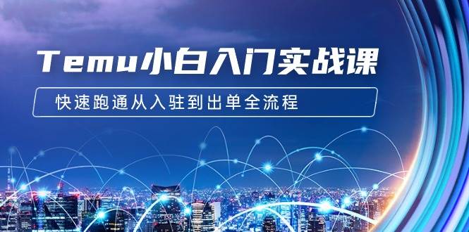 Temu小白入门实战课：跨境拼多多电商培训 快速跑通从入驻到出单全流程-12节-杨振轩笔记