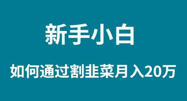新手小白如何通过割韭菜月入 20W-杨振轩笔记