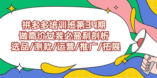 拼多多培训班第34期：做高价女装必盈利剖析  选品/测款/运营/推广/拓展-杨振轩笔记