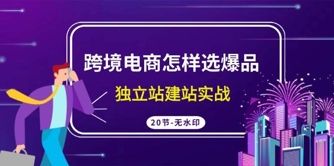 跨境电商怎样选爆品，独立站建站实战（20节高清无水印课）-杨振轩笔记