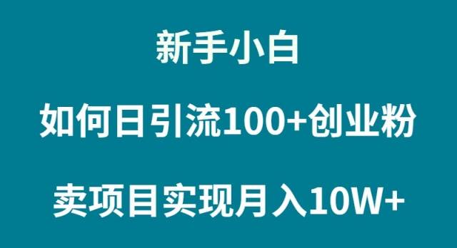 新手小白如何通过卖项目实现月入10W+-杨振轩笔记