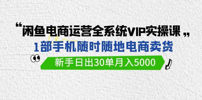 闲鱼电商运营全系统VIP实战课，1部手机随时随地卖货，新手日出30单月入5000-杨振轩笔记