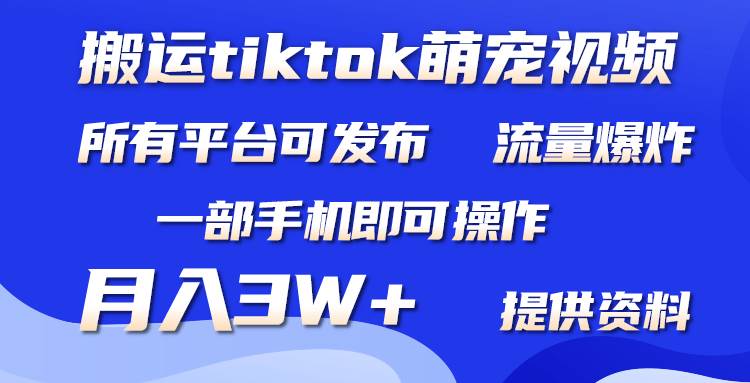 搬运Tiktok萌宠类视频，一部手机即可。所有短视频平台均可操作，月入3W+-杨振轩笔记