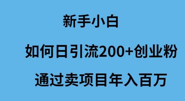 新手小白如何日引流200+创业粉通过卖项目年入百万-杨振轩笔记