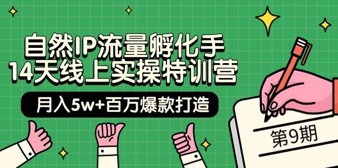 自然IP流量孵化手 14天线上实操特训营【第9期】月入5w+百万爆款打造 (74节)-杨振轩笔记