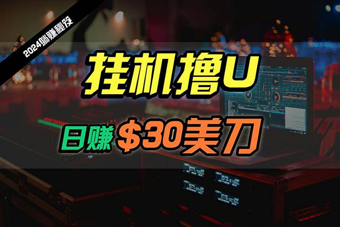 日赚30美刀，2024最新海外挂机撸U内部项目，全程无人值守，可批量放大-杨振轩笔记