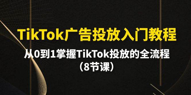 TikTok广告投放入门教程，从0到1掌握TikTok投放的全流程（8节课）-杨振轩笔记