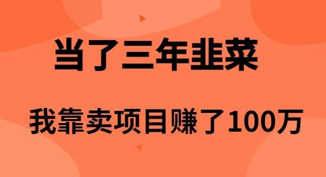 当了3年韭菜，我靠卖项目赚了100万-杨振轩笔记