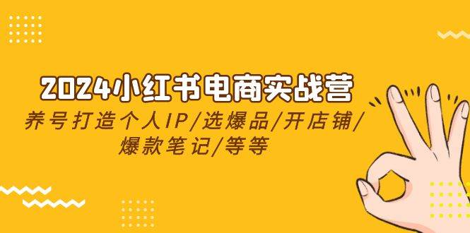 2024小红书电商实战营，养号打造IP/选爆品/开店铺/爆款笔记/等等（24节）-杨振轩笔记