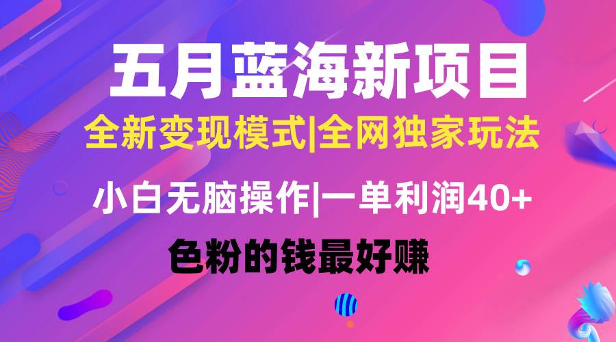 五月蓝海项目全新玩法，小白无脑操作，一天几分钟，矩阵操作，月入4万+-杨振轩笔记