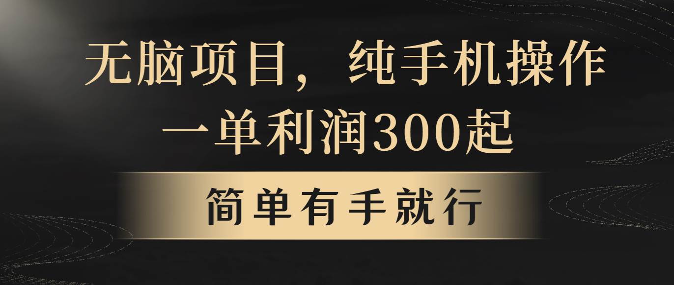 无脑项目，一单几百块，轻松月入5w+，看完就能直接操作-杨振轩笔记