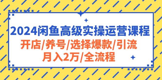 2024闲鱼高级实操运营课程：开店/养号/选择爆款/引流/月入2万/全流程-杨振轩笔记